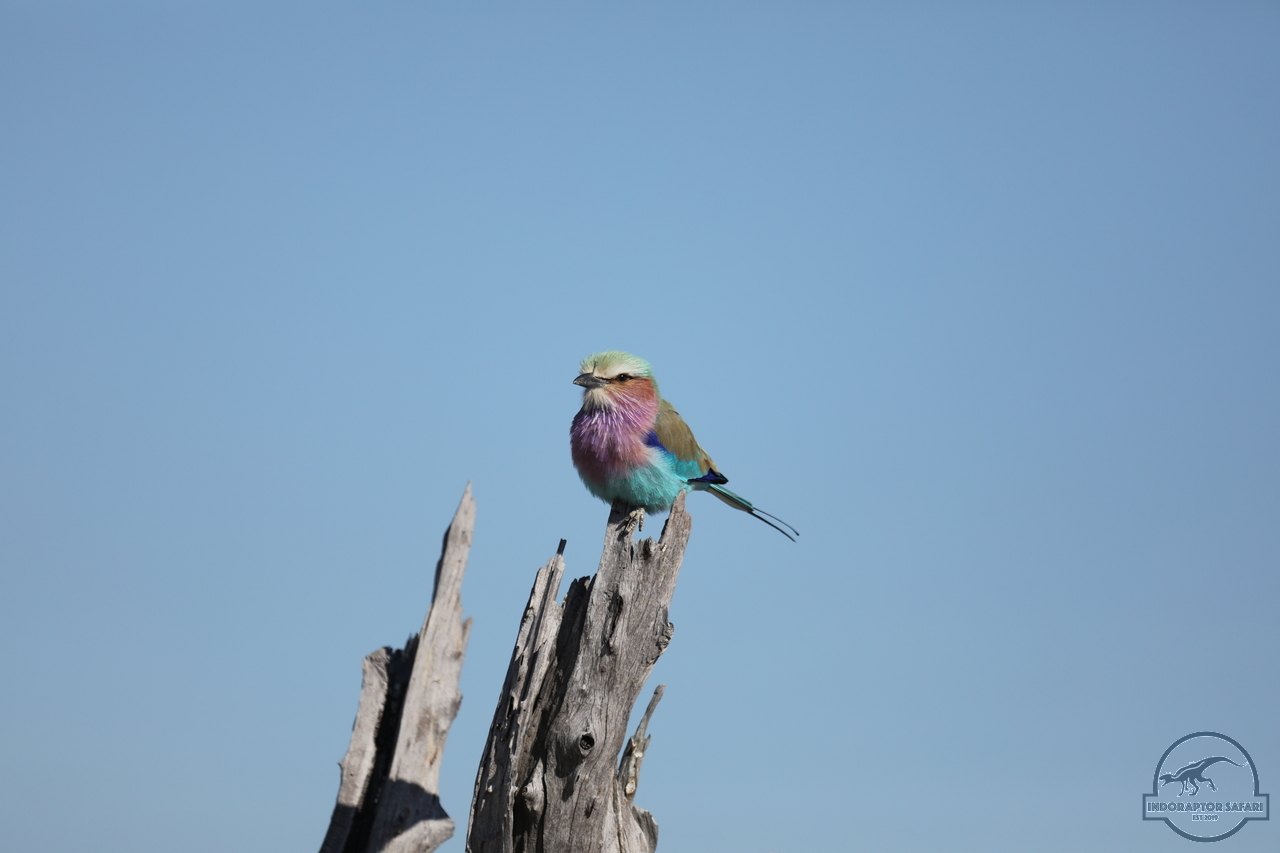 [323] 2019_06_20_14_50_45_Africa_Canon_EOS_5D_Mark_IV_IMG_0001094_00002.jpg