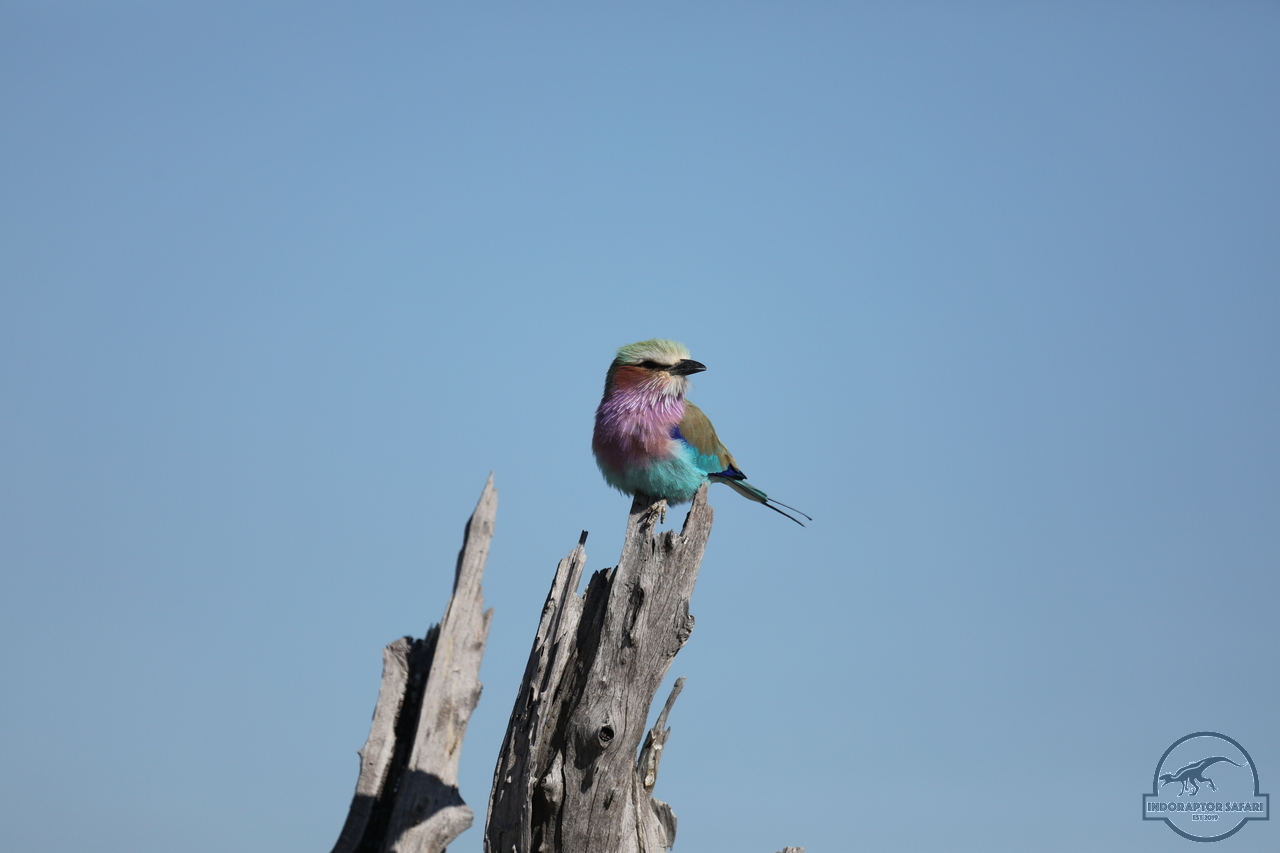 [326] 2019_06_20_14_50_48_Africa_Canon_EOS_5D_Mark_IV_IMG_0001097_00003.jpg