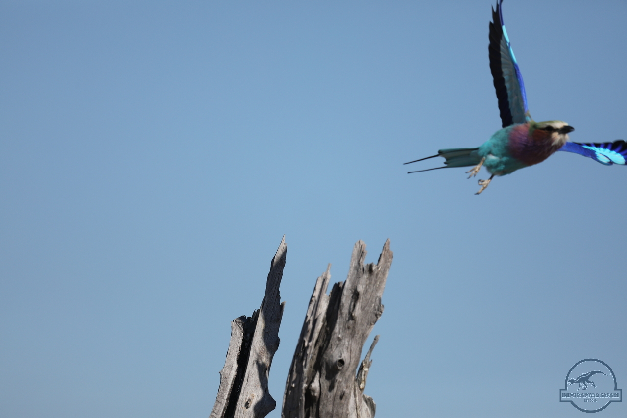 [329] 2019_06_20_14_51_23_Africa_Canon_EOS_5D_Mark_IV_IMG_0001116_00004.jpg