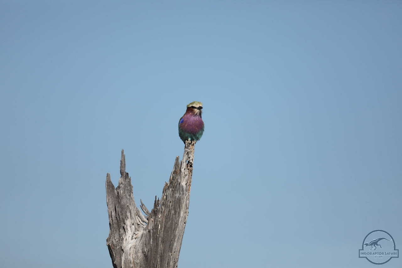 [332] 2019_06_20_14_52_50_Africa_Canon_EOS_5D_Mark_IV_IMG_0001117_00005.jpg