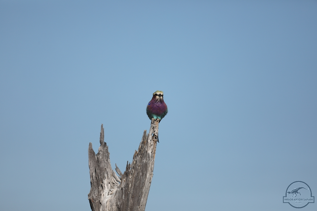 [336] 2019_06_20_14_52_56_Africa_Canon_EOS_5D_Mark_IV_IMG_0001124_00031.jpg