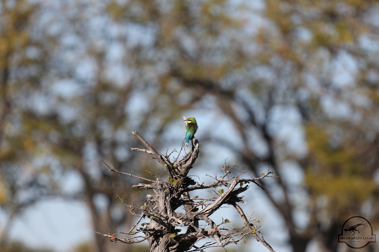 [348] 2019_06_21_21_08_47_Africa_Canon_EOS_5D_Mark_IV_IMG_0004328_00035.jpg