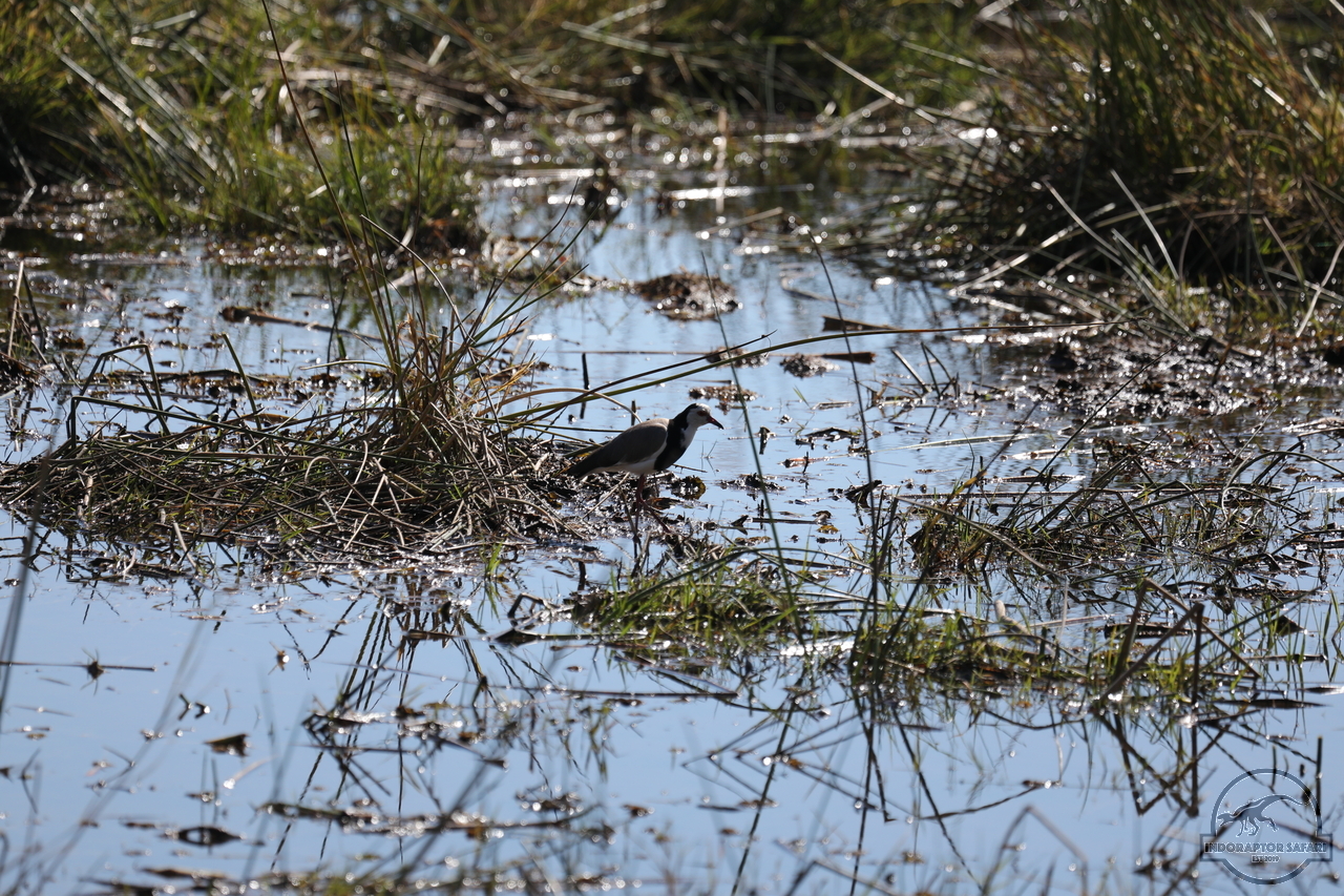 [354] 2019_06_20_15_52_31_Africa_Canon_EOS_5D_Mark_IV_IMG_0001209_00037.jpg