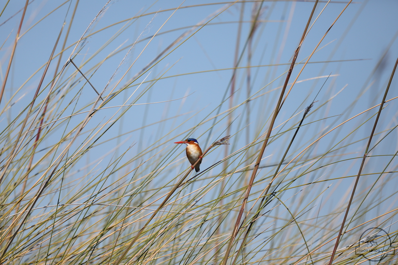 [356] 2019_06_21_16_51_44_Africa_Canon_EOS_5D_Mark_IV_IMG_0003853_00001.jpg
