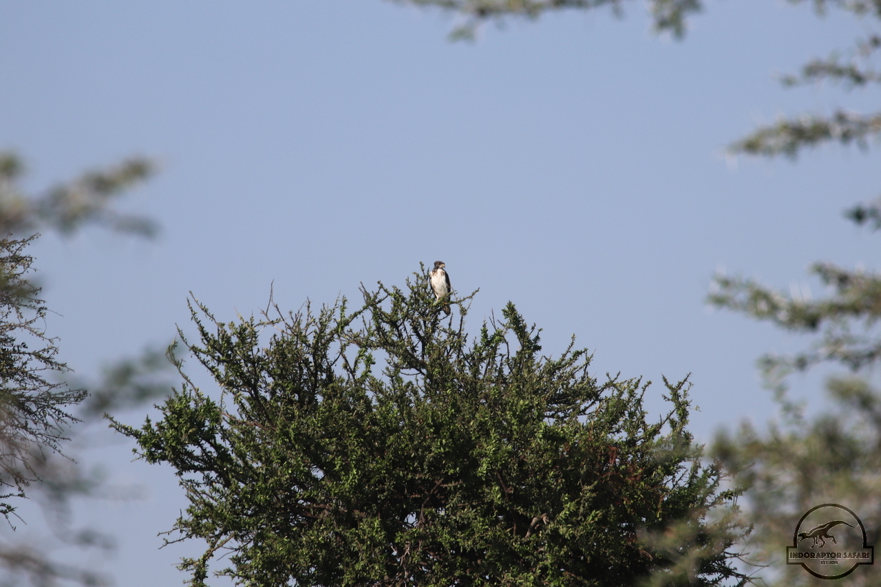 [361] 2019_06_30_08_06_57_Africa_Canon_EOS_77D_IMG_1924_00132.jpg