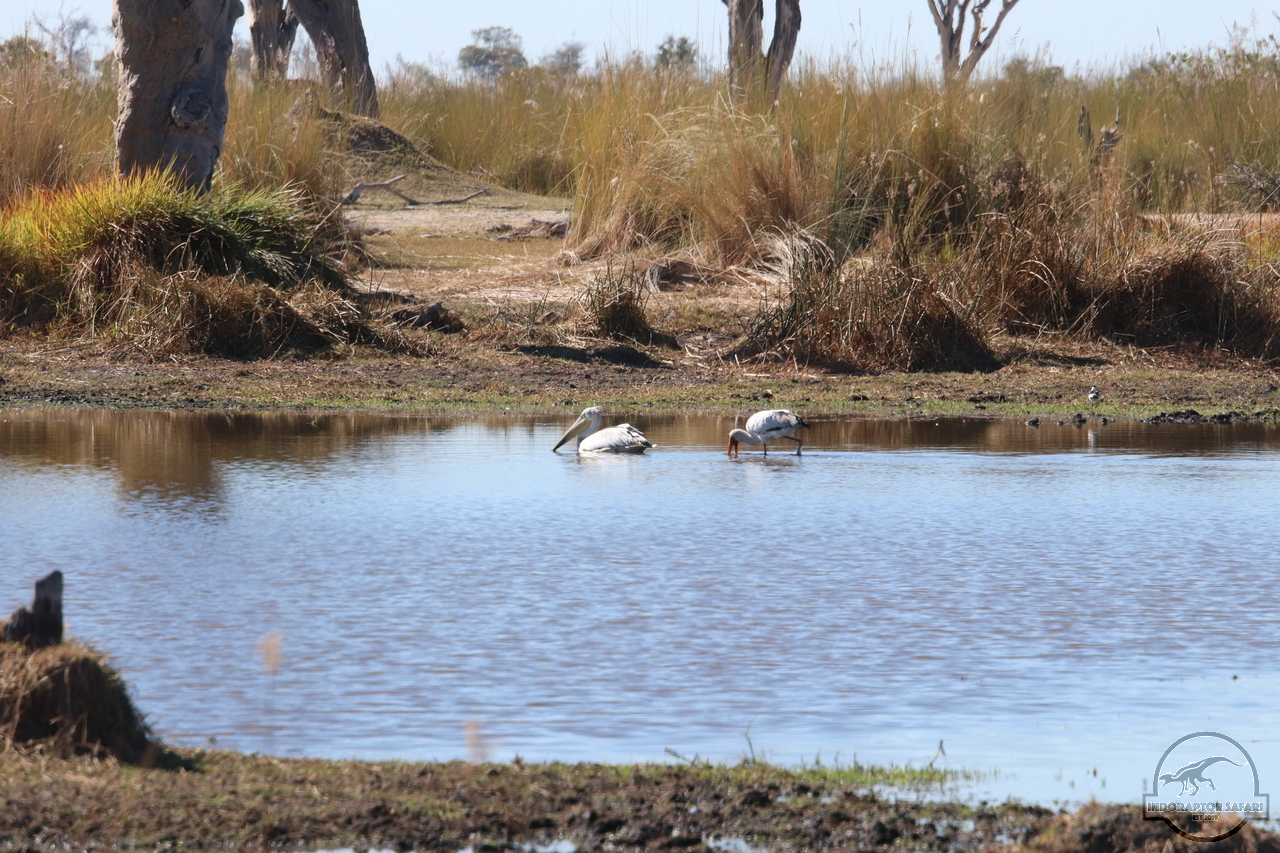 [388] 2019_06_23_10_25_05_Africa_Canon_EOS_77D_IMG_1160_00140.jpg