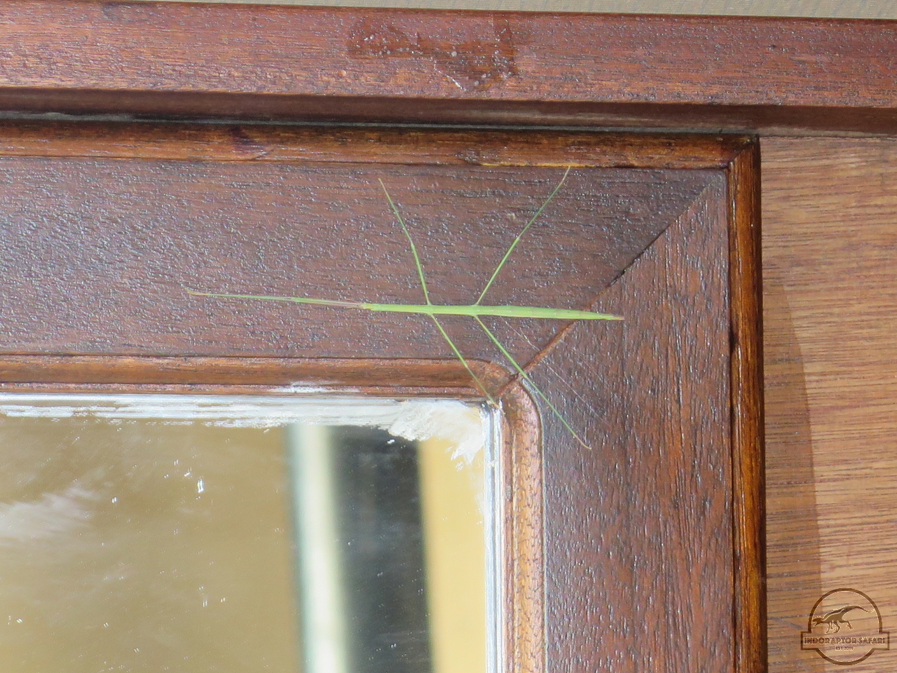 [420] 2019_07_02_00_16_24_Africa_Canon_PowerShot_G16_IMG_0003_00059.jpg