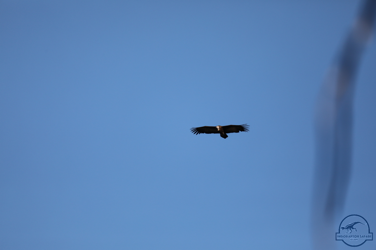 [453] 2019_06_22_22_01_36_Africa_Canon_EOS_5D_Mark_IV_IMG_0003481_00067.jpg