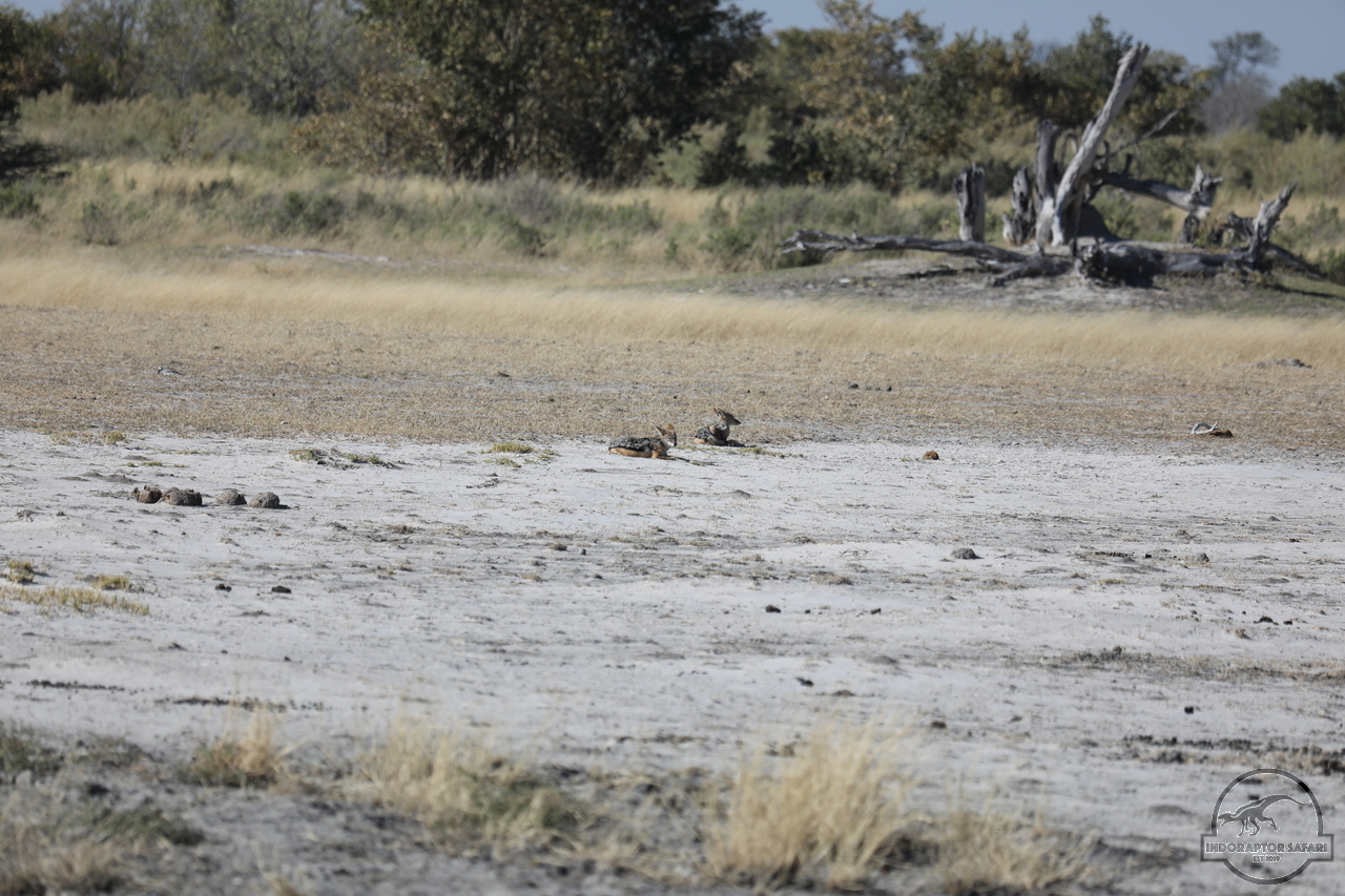 [476] 2019_06_20_14_39_42_Africa_Canon_EOS_5D_Mark_IV_IMG_0001055_00170.jpg