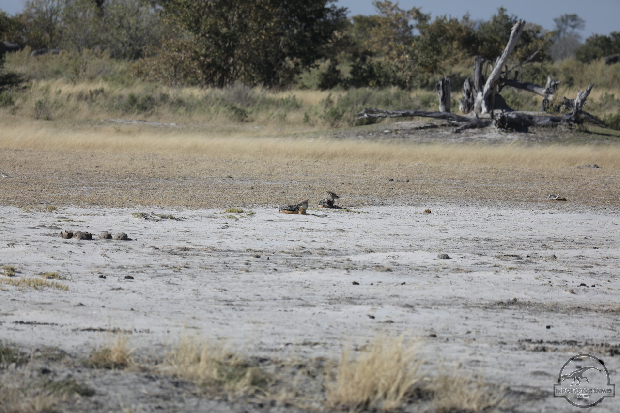 [478] 2019_06_20_14_41_32_Africa_Canon_EOS_5D_Mark_IV_IMG_0001064_00171.jpg