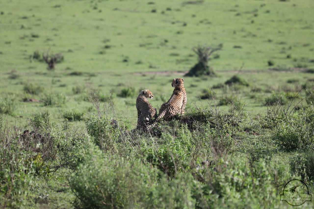 [500] 2019_07_01_12_30_57_Africa_Canon_EOS_5D_Mark_IV_IMG_0010761_00182.jpg