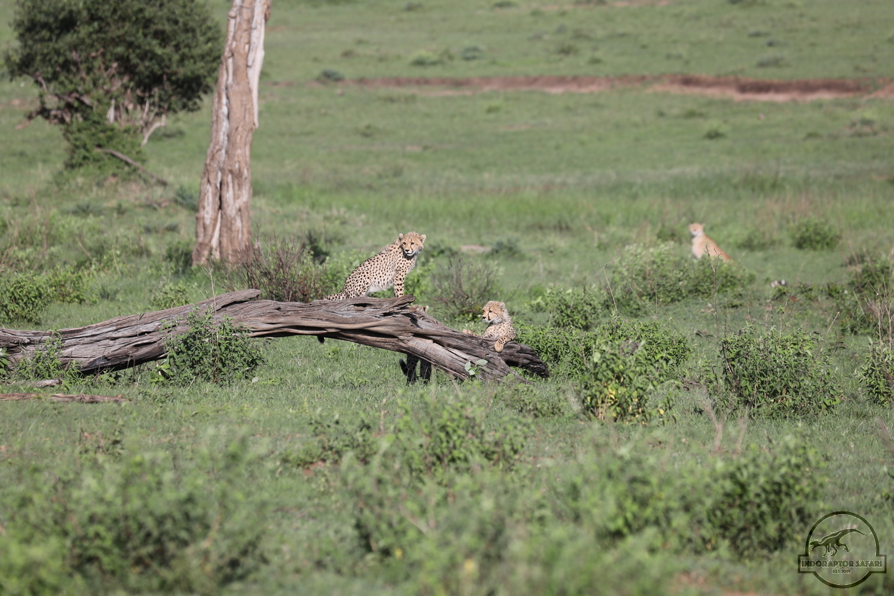 [504] 2019_07_01_12_39_27_Africa_Canon_EOS_5D_Mark_IV_IMG_0010972_00184.jpg