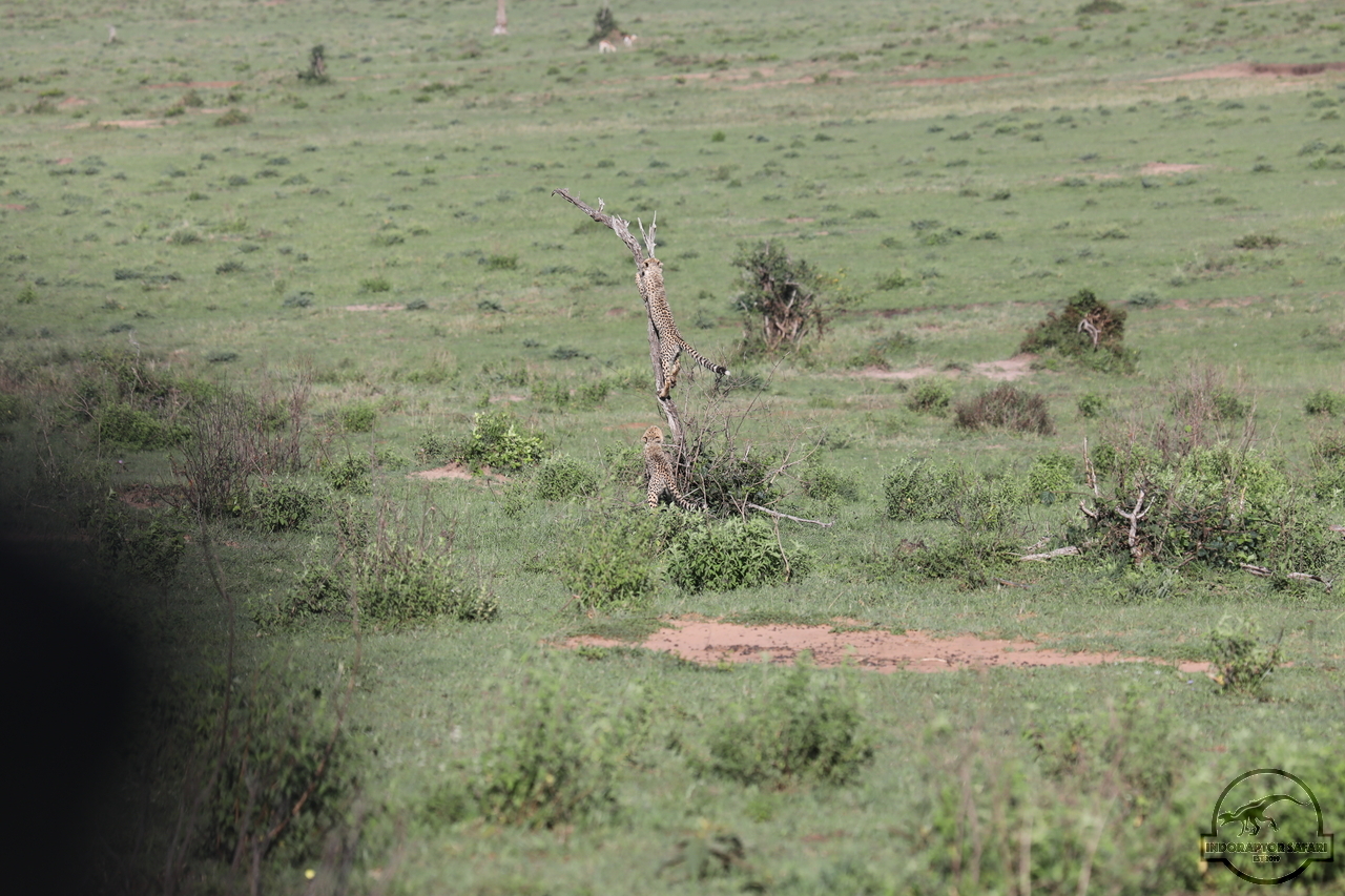 [505] 2019_07_01_12_40_36_Africa_Canon_EOS_5D_Mark_IV_IMG_0011017_00004.jpg