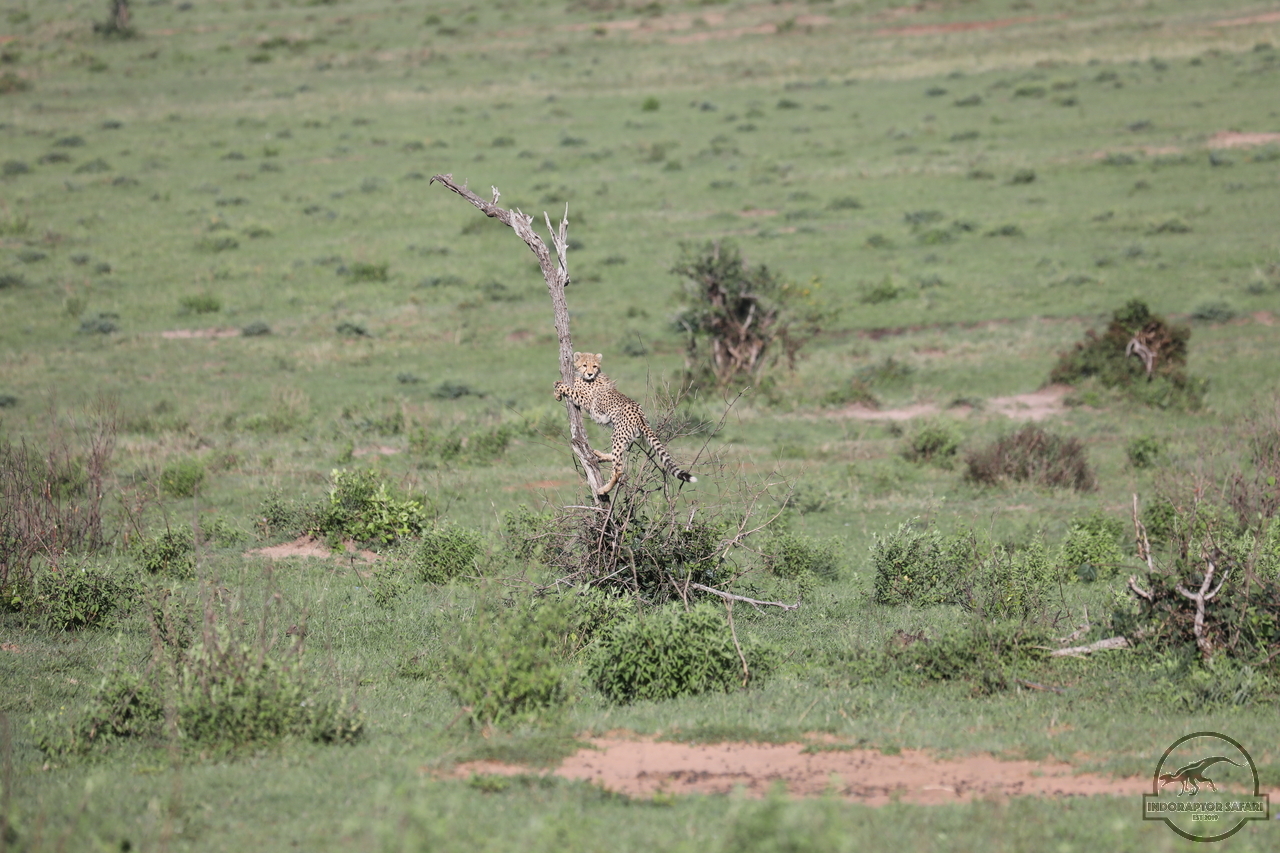 [508] 2019_07_01_12_41_16_Africa_Canon_EOS_5D_Mark_IV_IMG_0011055_00186.jpg