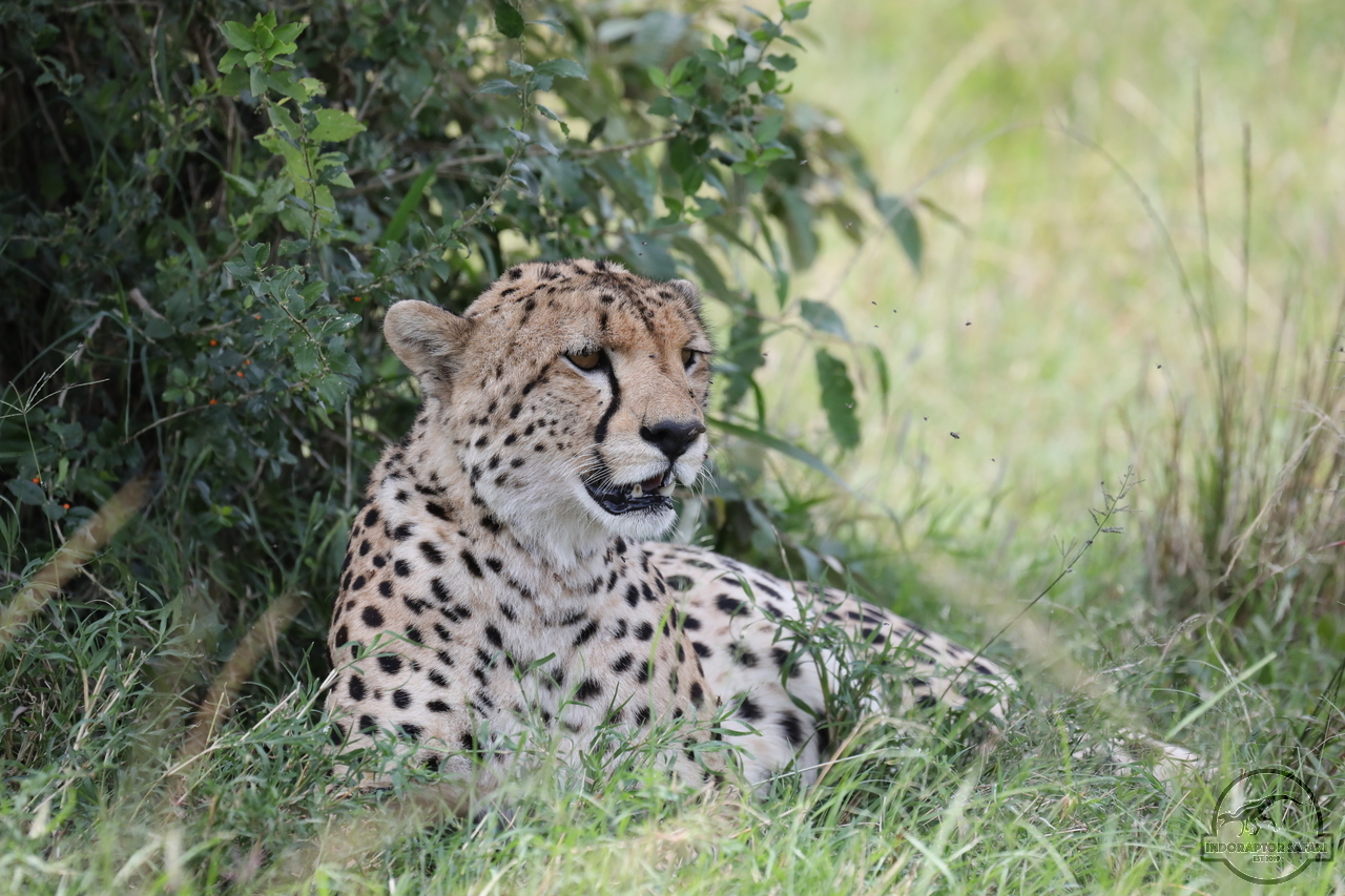 [516] 2019_07_02_17_03_28_Africa_Canon_EOS_5D_Mark_IV_IMG_0012797_00188.jpg