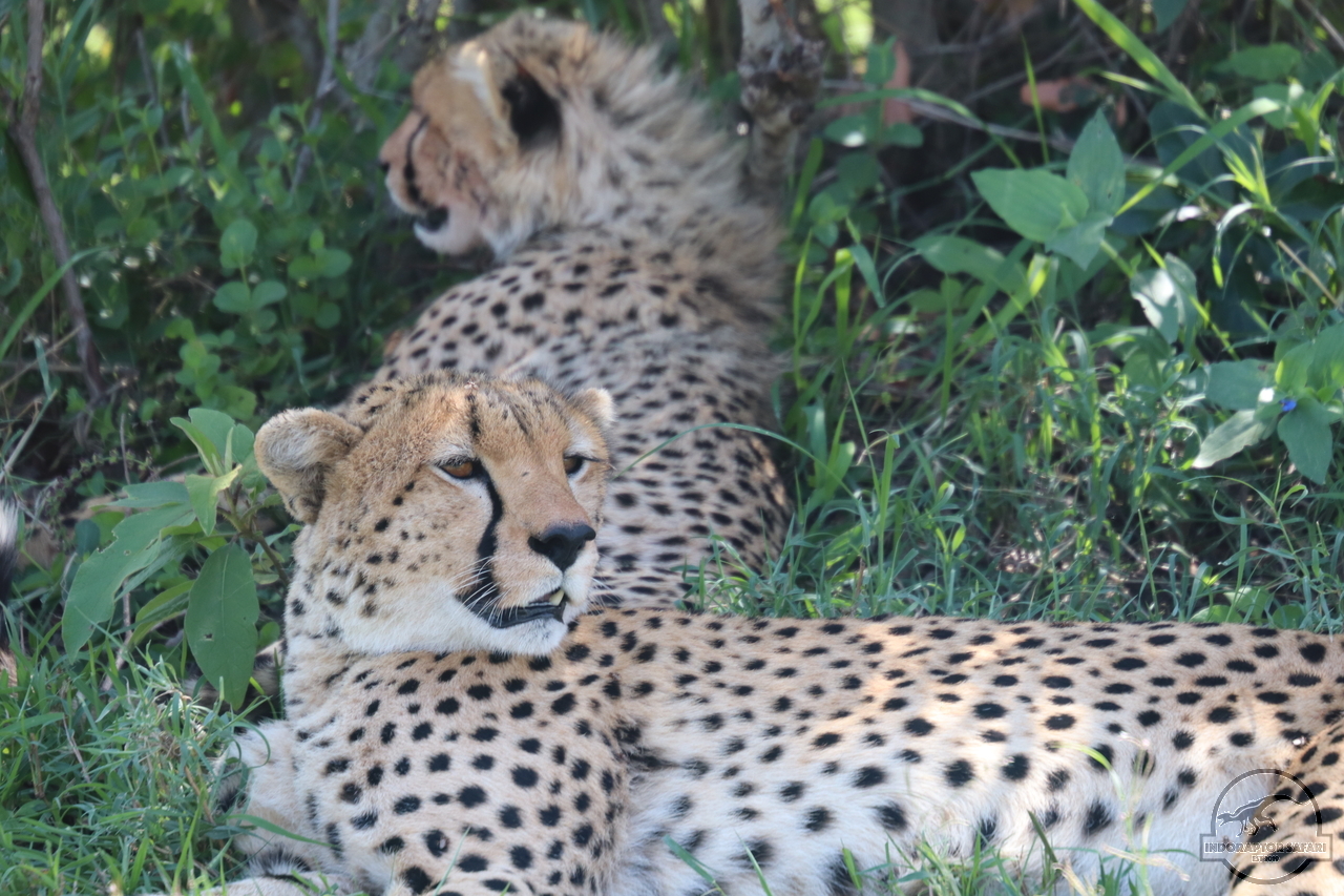 [517] 2019_07_03_10_34_14_Africa_Canon_EOS_77D_IMG_3428_00013.jpg