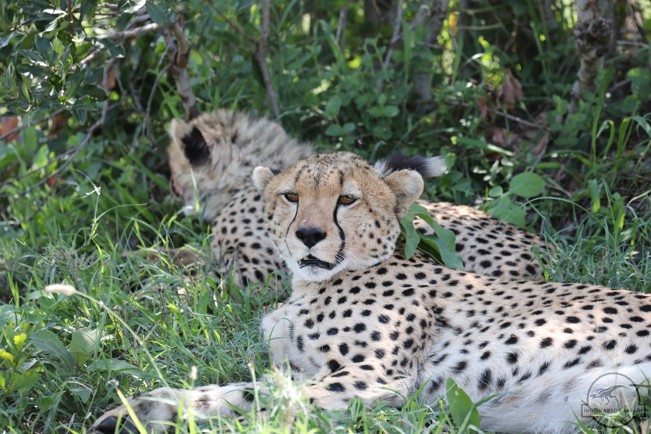 [524] 2019_07_03_15_36_46_Africa_Canon_EOS_5D_Mark_IV_IMG_0013742_00191.jpg