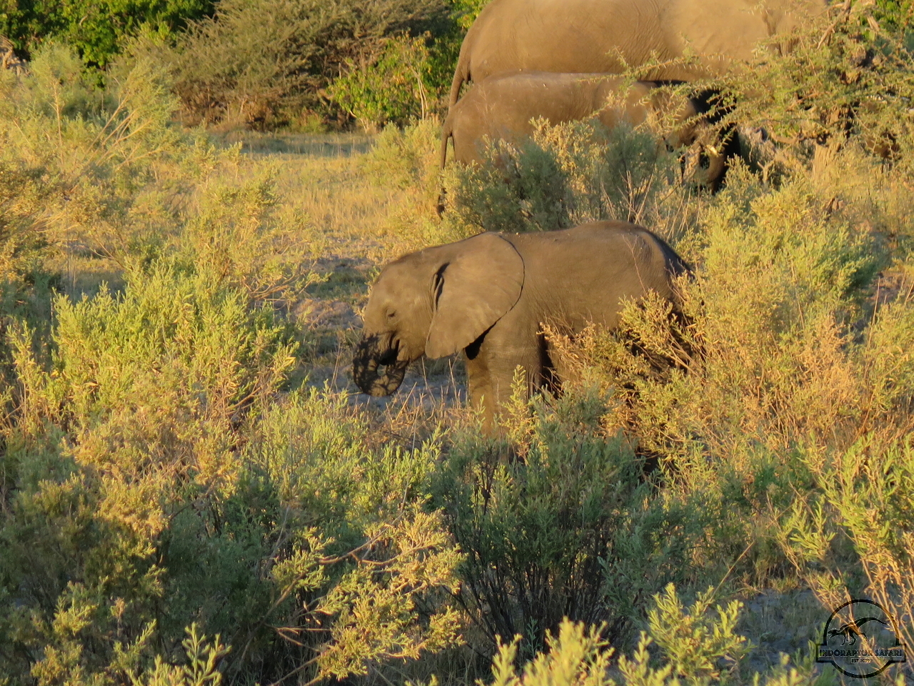 [528] 2019_06_19_11_49_17_Africa_Canon_PowerShot_G16_IMG_0048_00219.jpg