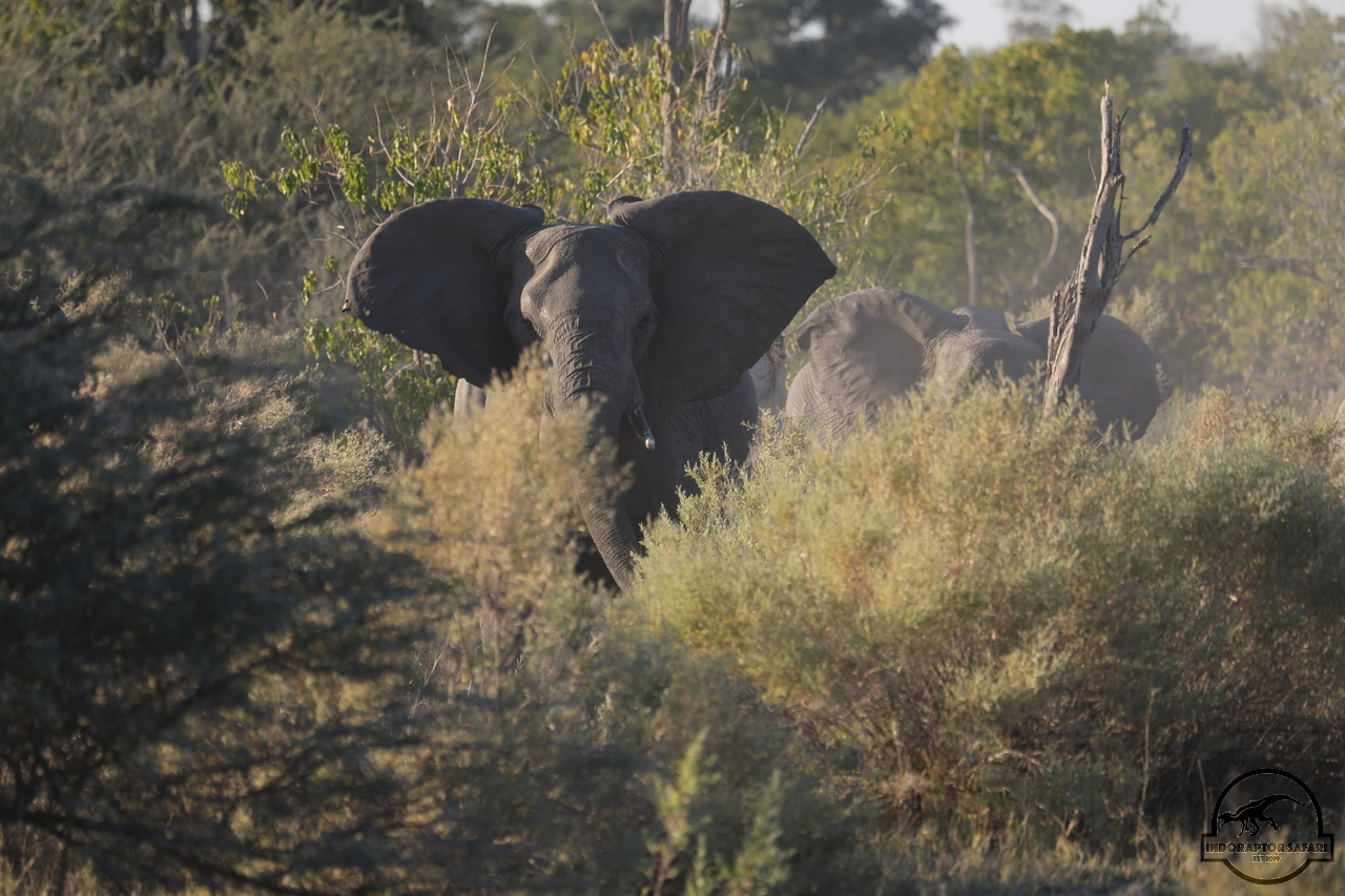 [535] 2019_06_20_12_40_55_Africa_Canon_EOS_5D_Mark_IV_IMG_0000782_00003.jpg