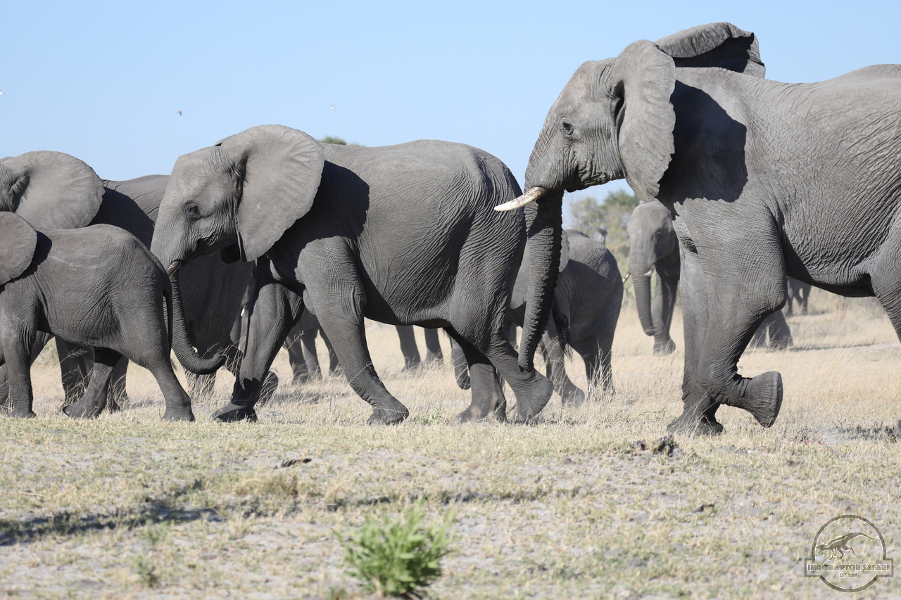 [542] 2019_06_20_14_44_30_Africa_Canon_EOS_5D_Mark_IV_IMG_0001078_00200.jpg