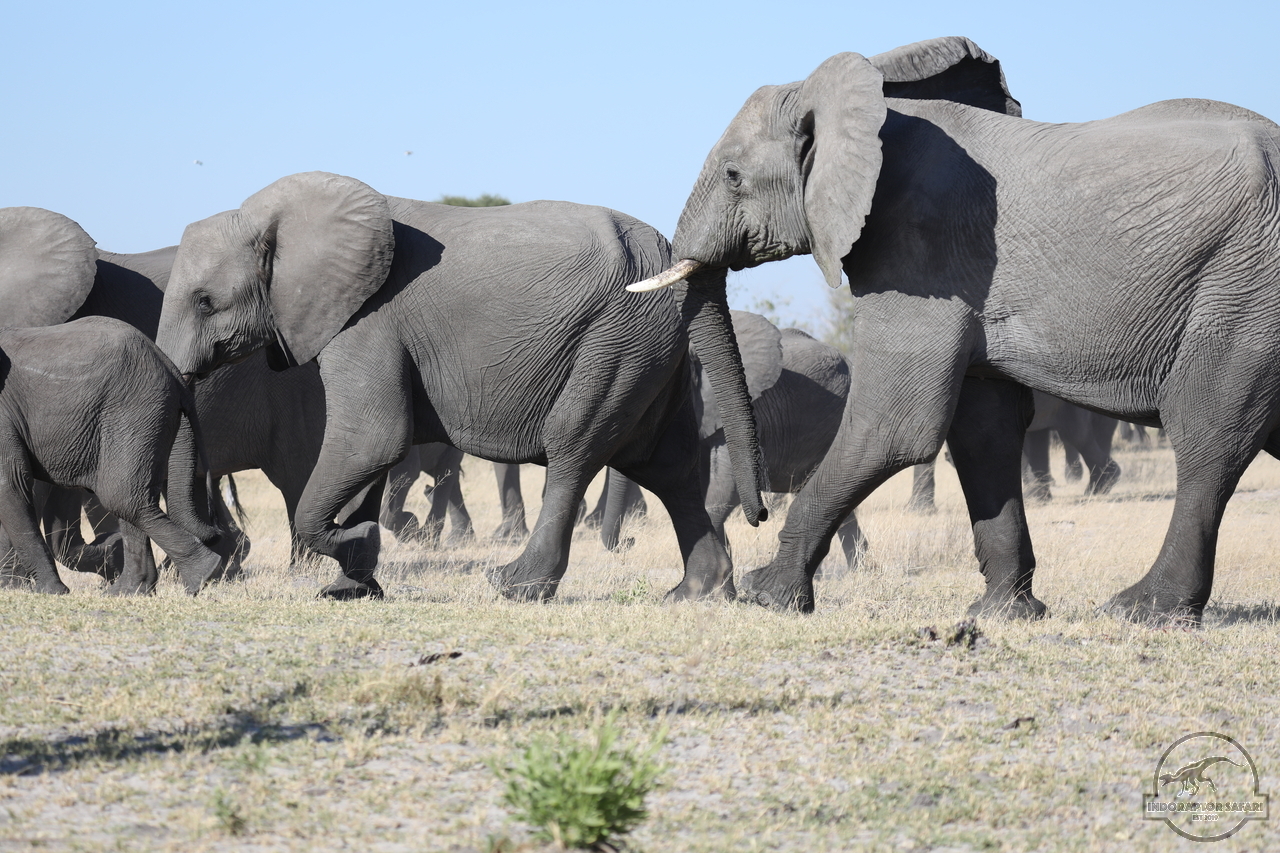[544] 2019_06_20_14_44_30_Africa_Canon_EOS_5D_Mark_IV_IMG_0001079_00201.jpg