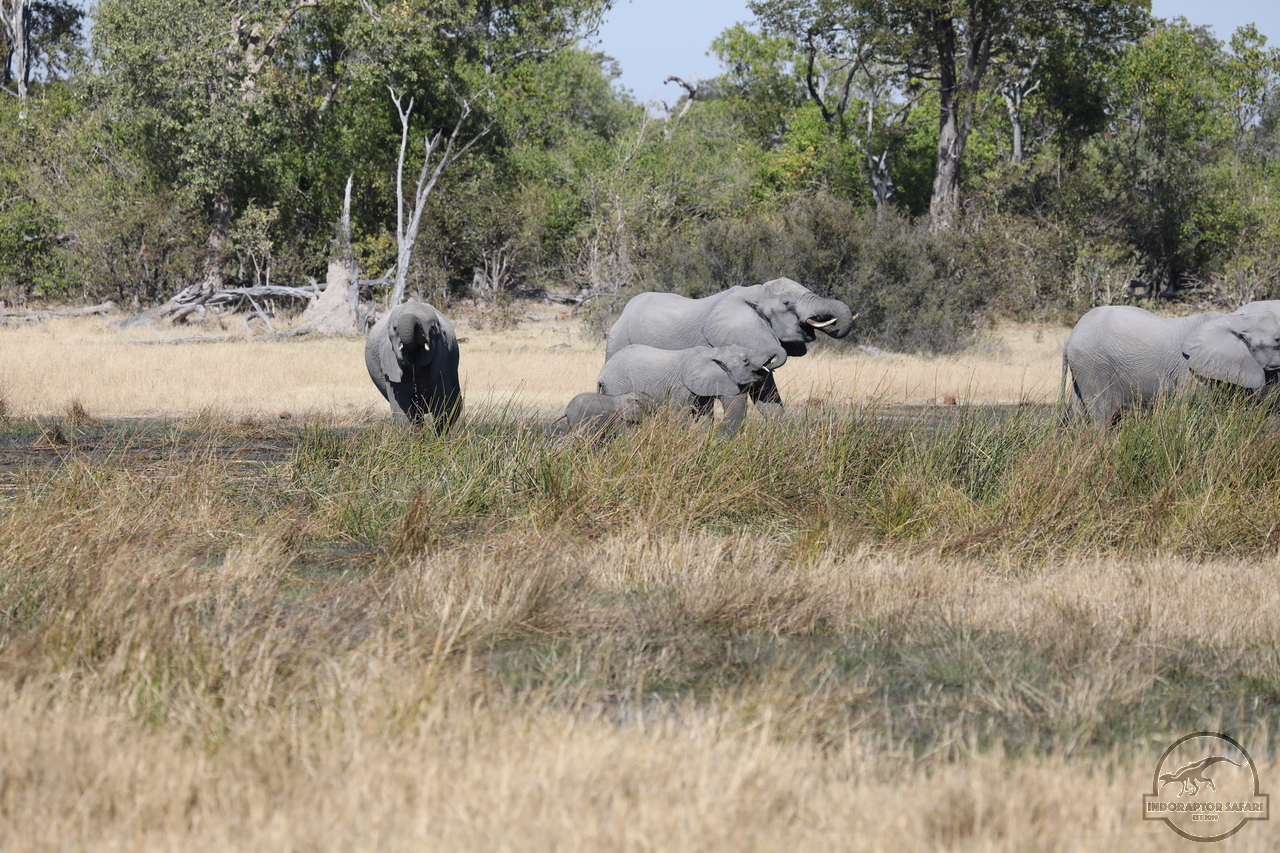 [546] 2019_06_20_16_25_07_Africa_Canon_EOS_5D_Mark_IV_IMG_0001725_00202.jpg