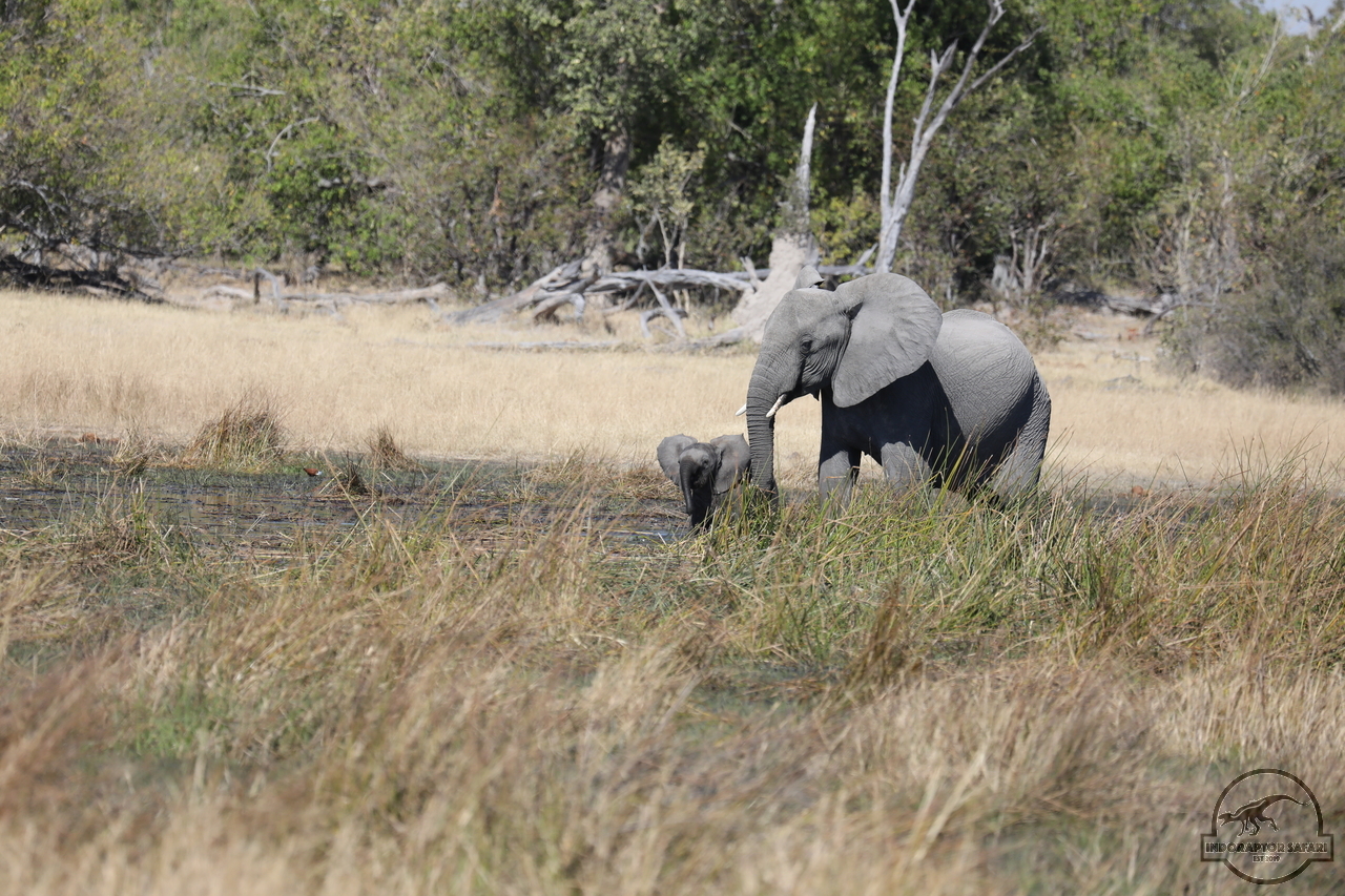 [547] 2019_06_20_16_27_15_Africa_Canon_EOS_5D_Mark_IV_IMG_0001766_00009.jpg
