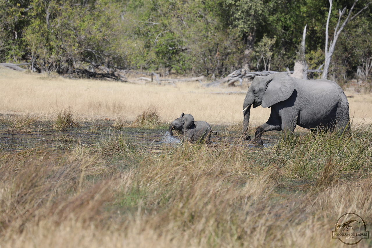 [554] 2019_06_20_16_27_20_Africa_Canon_EOS_5D_Mark_IV_IMG_0001773_00206.jpg
