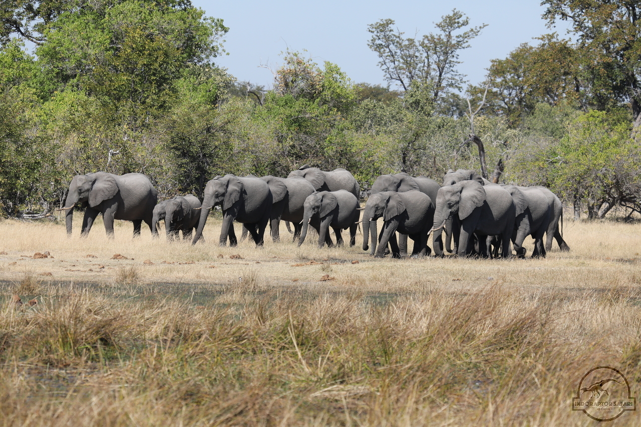[556] 2019_06_20_16_50_53_Africa_Canon_EOS_5D_Mark_IV_IMG_0002237_00207.jpg