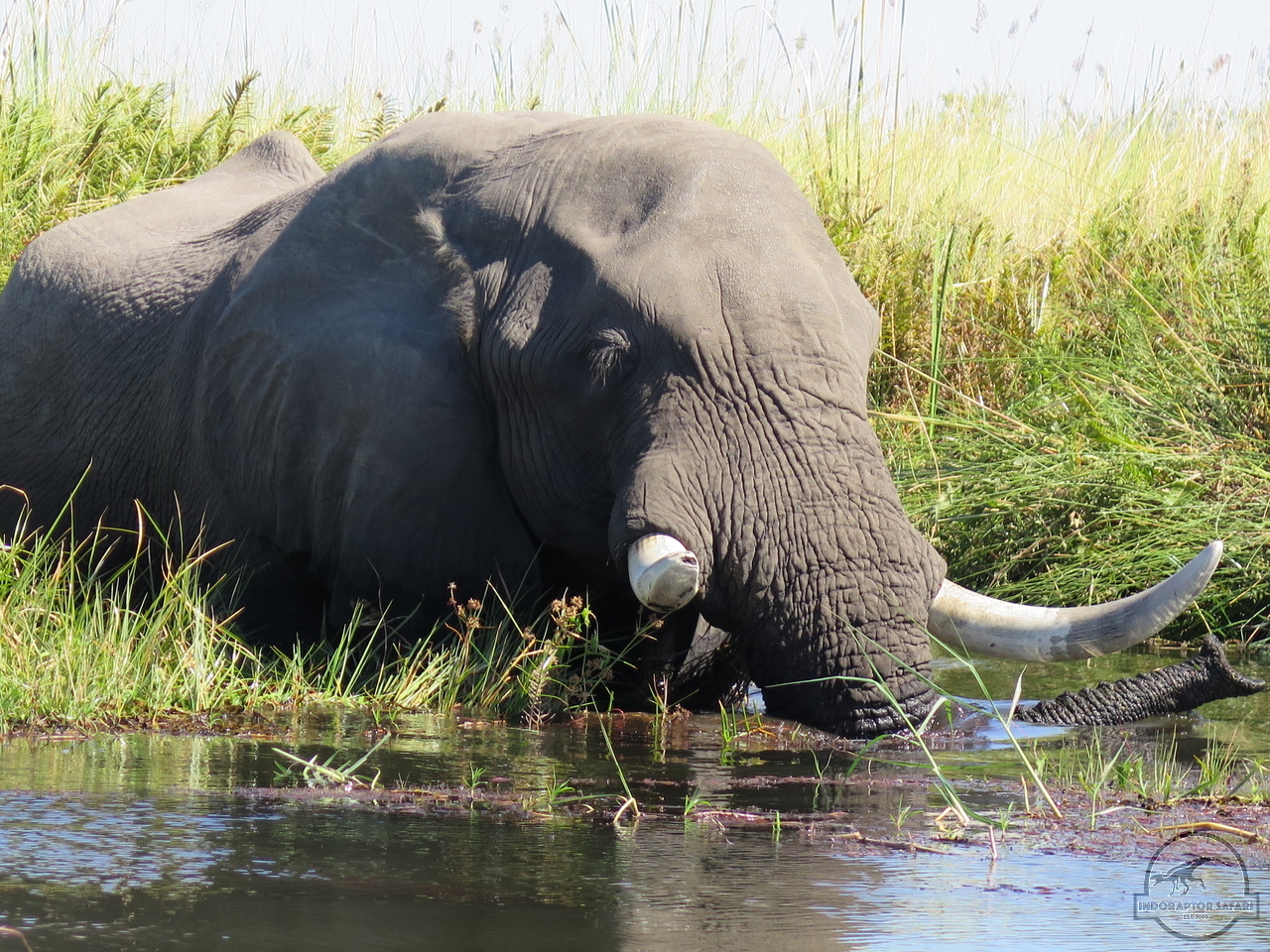 [560] 2019_06_21_07_02_36_Africa_Canon_PowerShot_G16_IMG_0244_00221.jpg