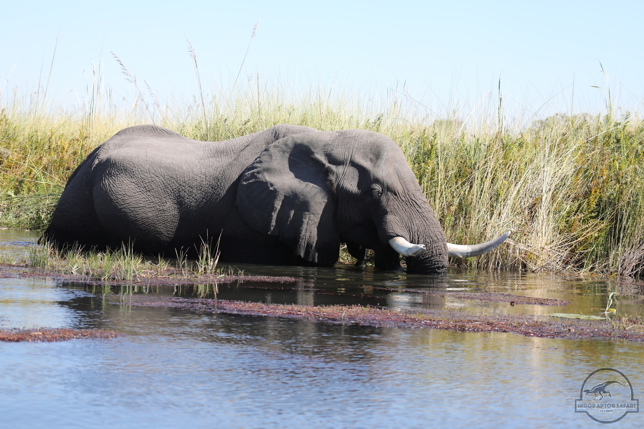[562] 2019_06_21_17_51_28_Africa_Canon_EOS_5D_Mark_IV_IMG_0004217_00209.jpg