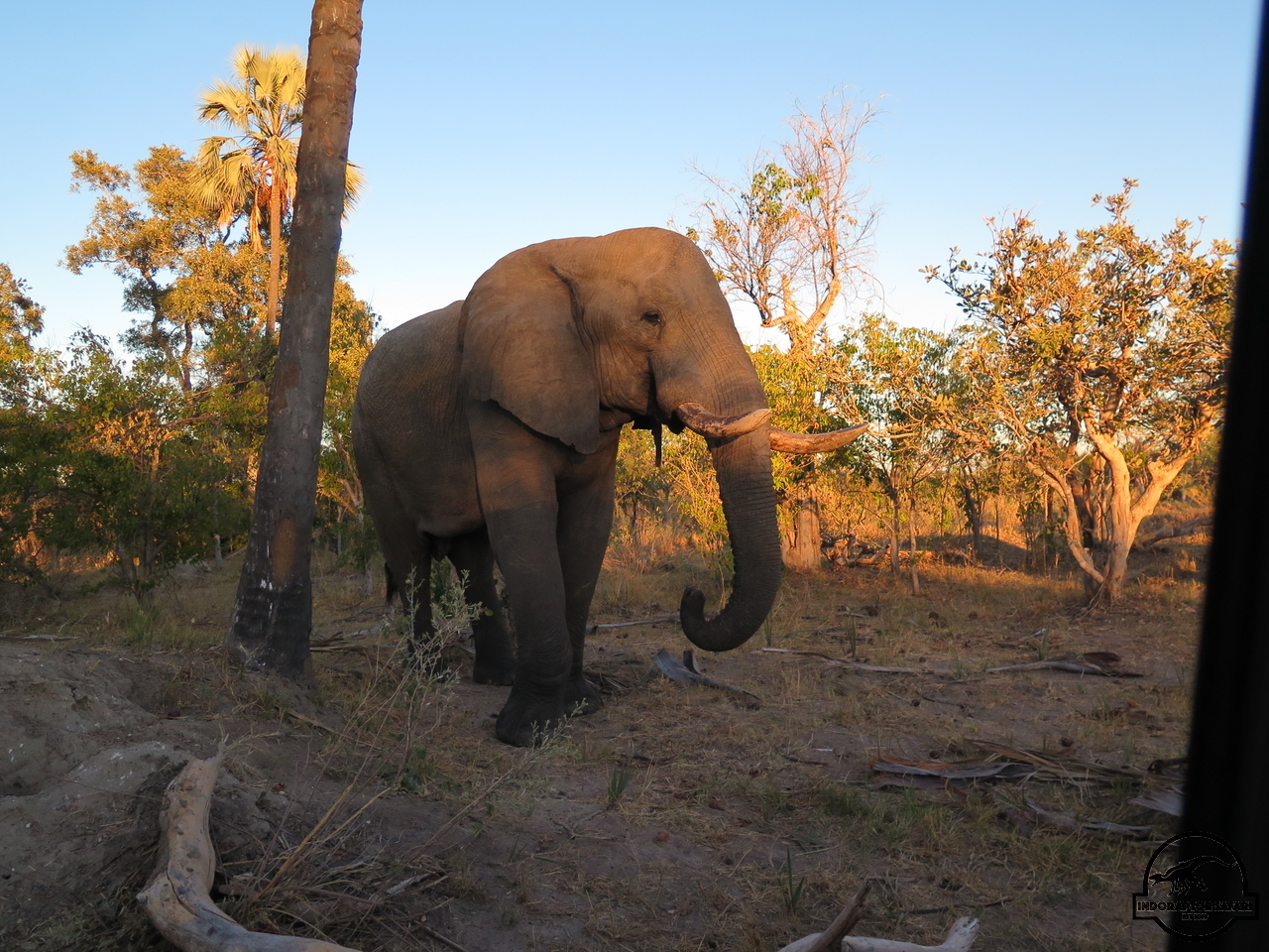 [565] 2019_06_22_01_33_38_Africa_Canon_PowerShot_G16_IMG_0011_00023.jpg