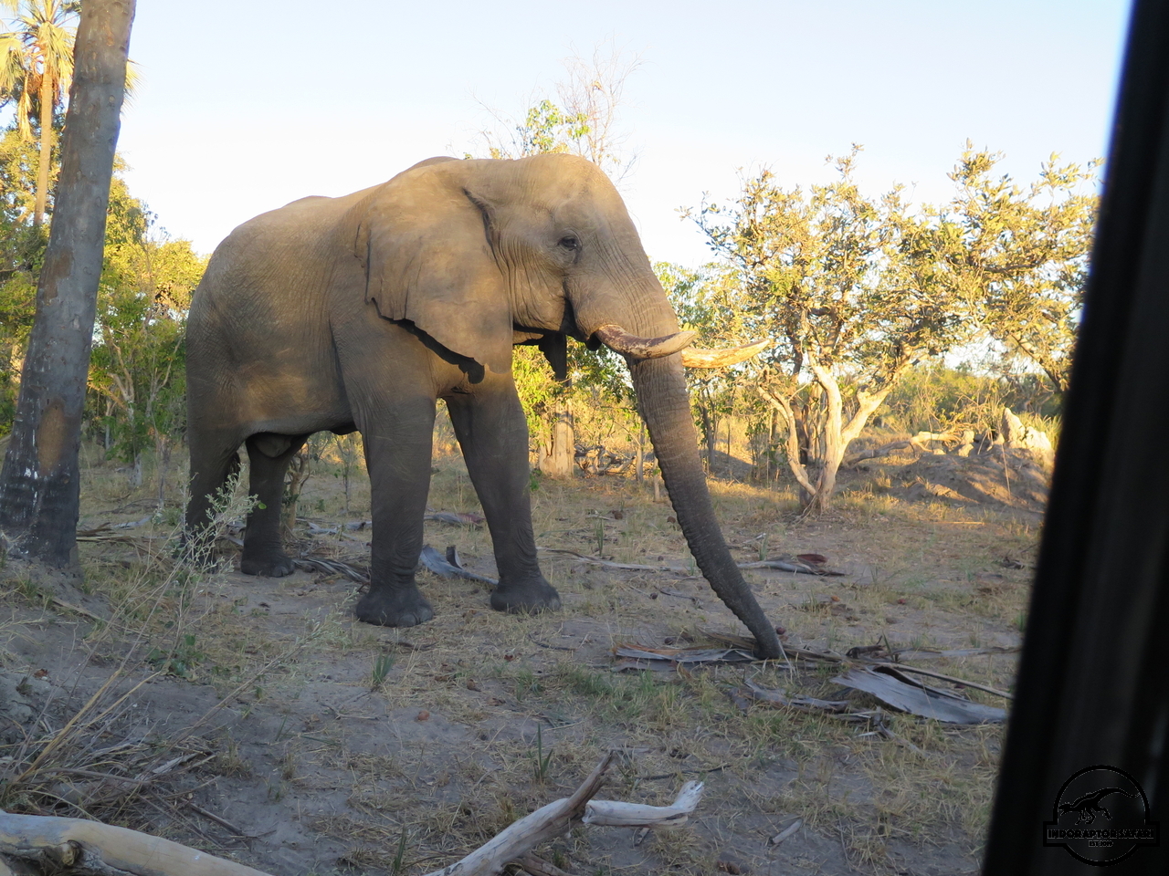 [568] 2019_06_22_01_33_55_Africa_Canon_PowerShot_G16_IMG_0013_00218.jpg