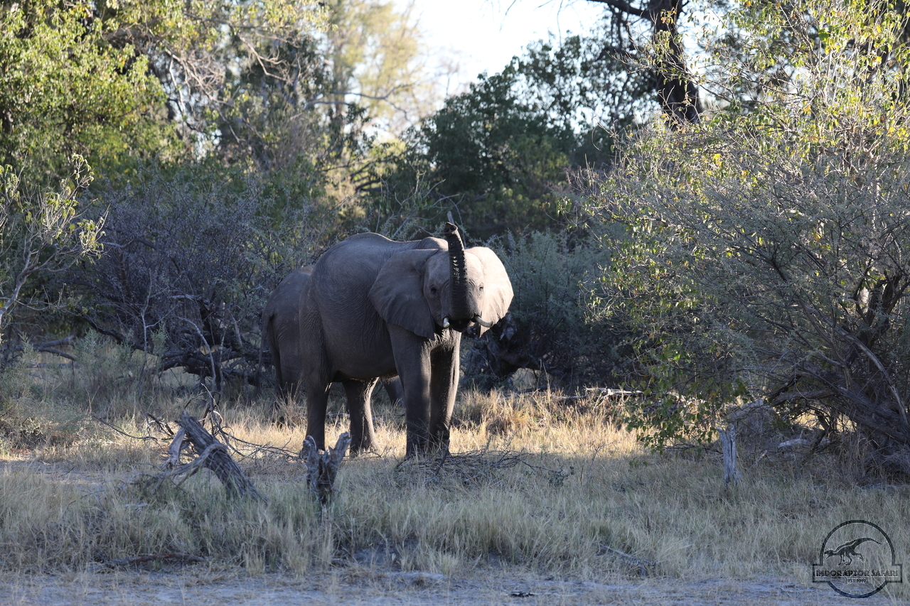 [570] 2019_06_22_13_03_42_Africa_Canon_EOS_5D_Mark_IV_IMG_0002615_00211.jpg