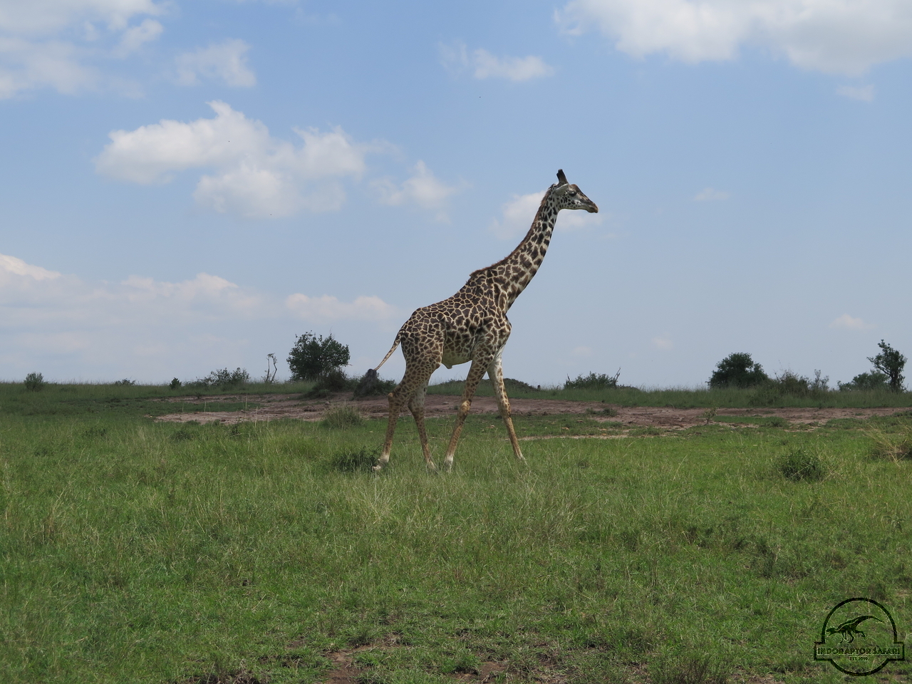 [599] 2019_06_29_05_26_33_Africa_Canon_PowerShot_G16_IMG_0144_00012.jpg