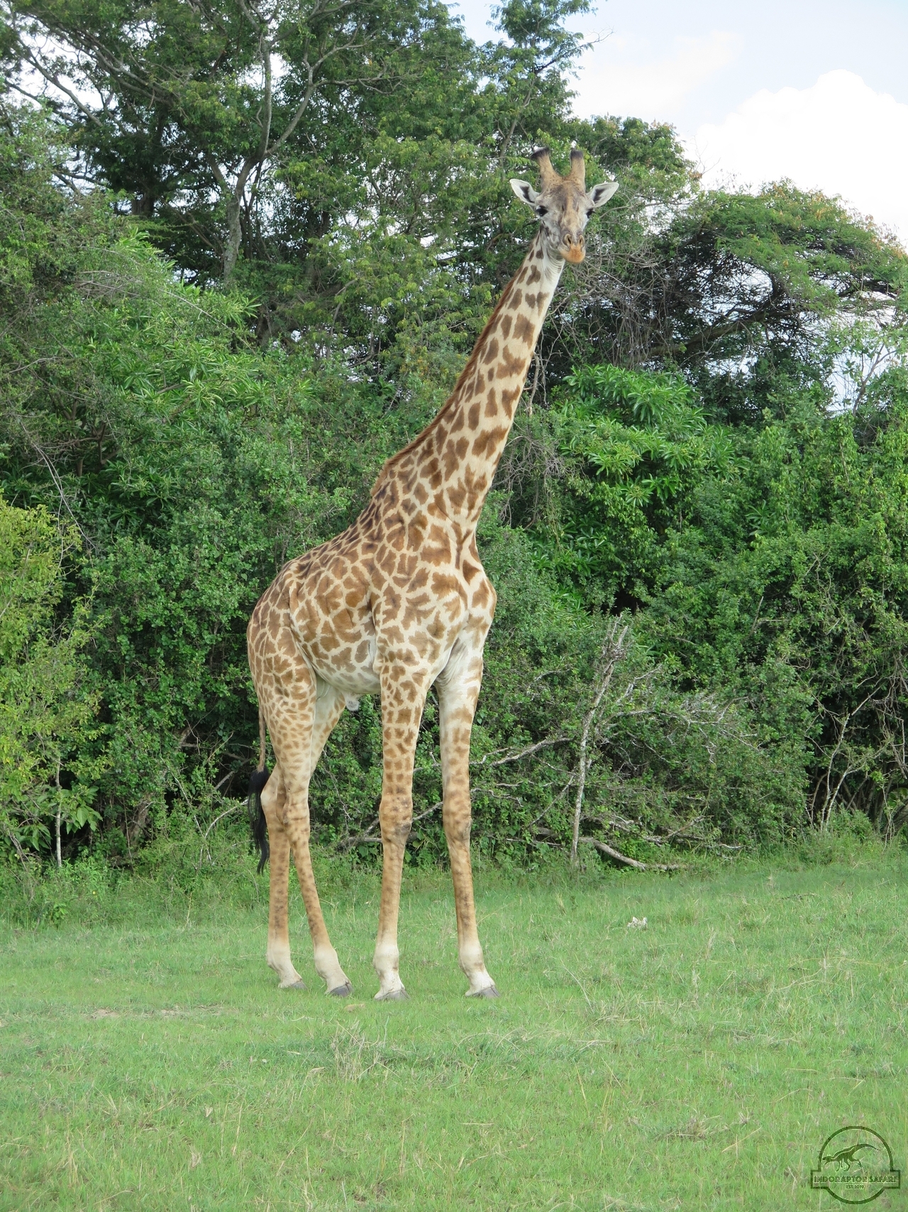 [601] 2019_06_29_10_01_02_Africa_Canon_PowerShot_G16_IMG__00013.jpg