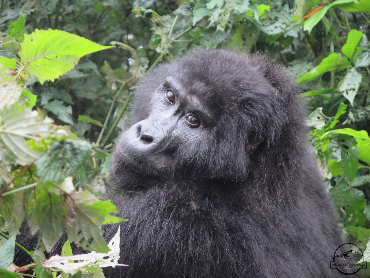 [623] 2019_06_26_02_45_30_Africa_Canon_PowerShot_G16_IMG_0006_00010.jpg