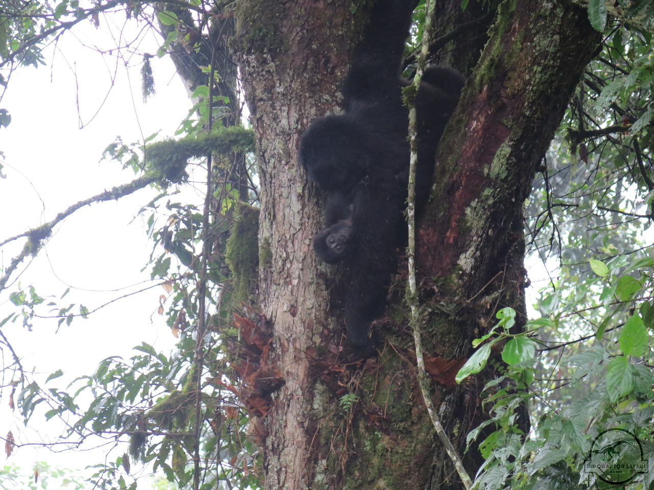 [626] 2019_06_26_03_10_59_Africa_Canon_PowerShot_G16_IMG_0039_00254.jpg
