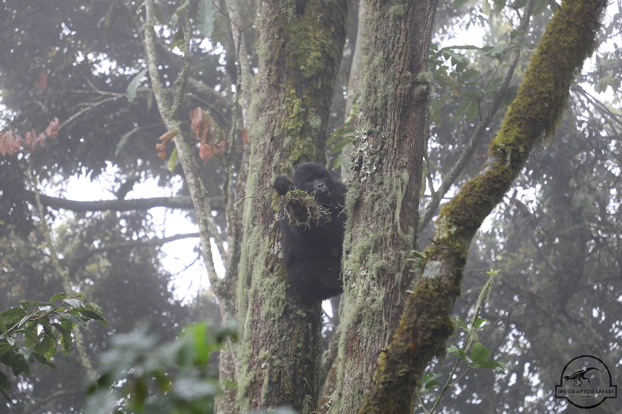 [643] 2019_06_26_13_37_14_Africa_Canon_EOS_5D_Mark_IV_IMG_0006331_00001.jpg