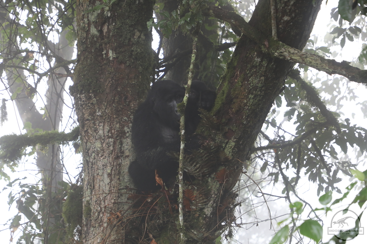 [646] 2019_06_26_13_42_51_Africa_Canon_EOS_5D_Mark_IV_IMG_0006363_00245.jpg