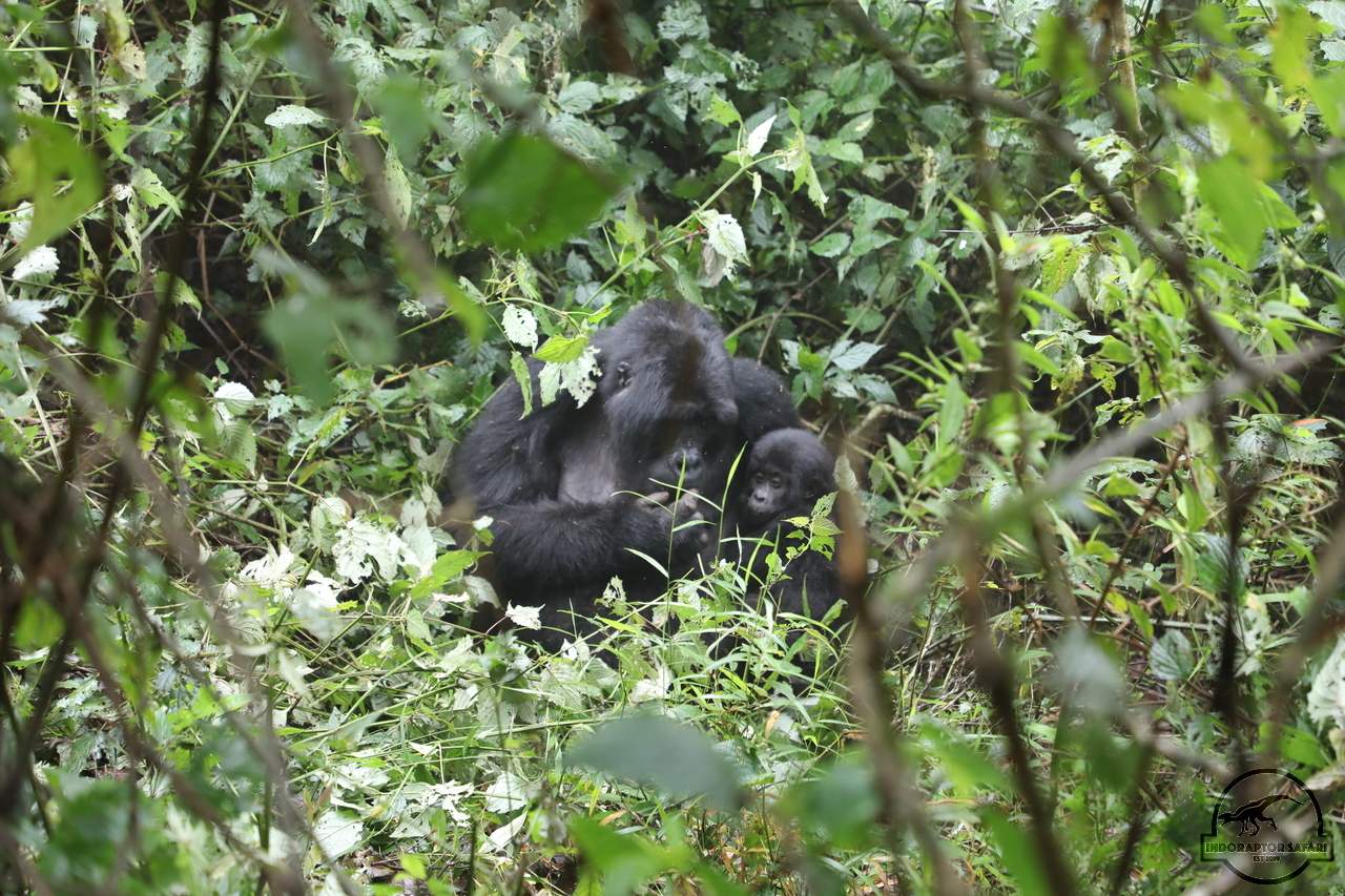 [649] 2019_06_26_14_38_26_Africa_Canon_EOS_5D_Mark_IV_IMG_0006908_00004.jpg