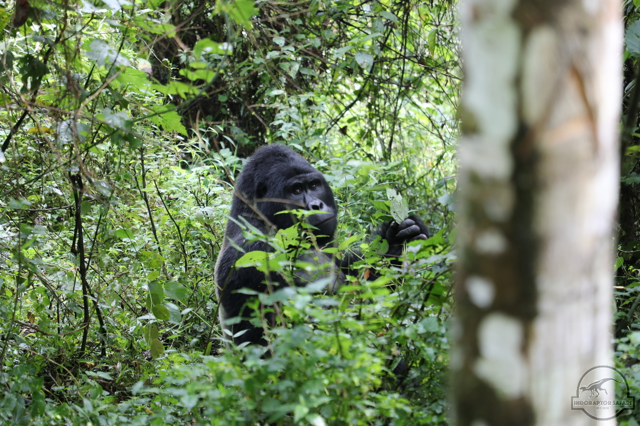 [666] 2019_06_27_14_38_48_Africa_Canon_EOS_5D_Mark_IV_IMG_0007599_00249.jpg