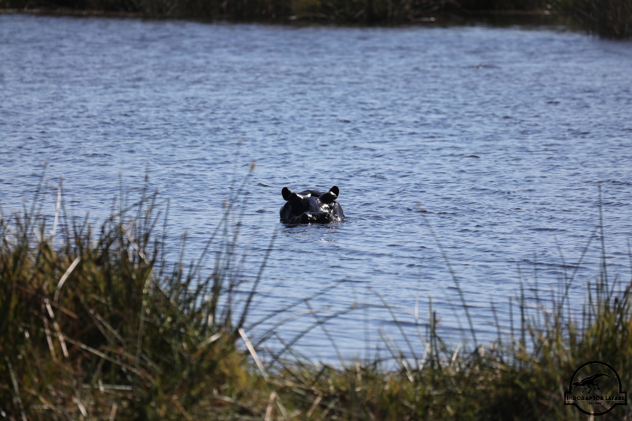 [676] 2019_06_20_15_53_16_Africa_Canon_EOS_5D_Mark_IV_IMG_0001219_00270.jpg