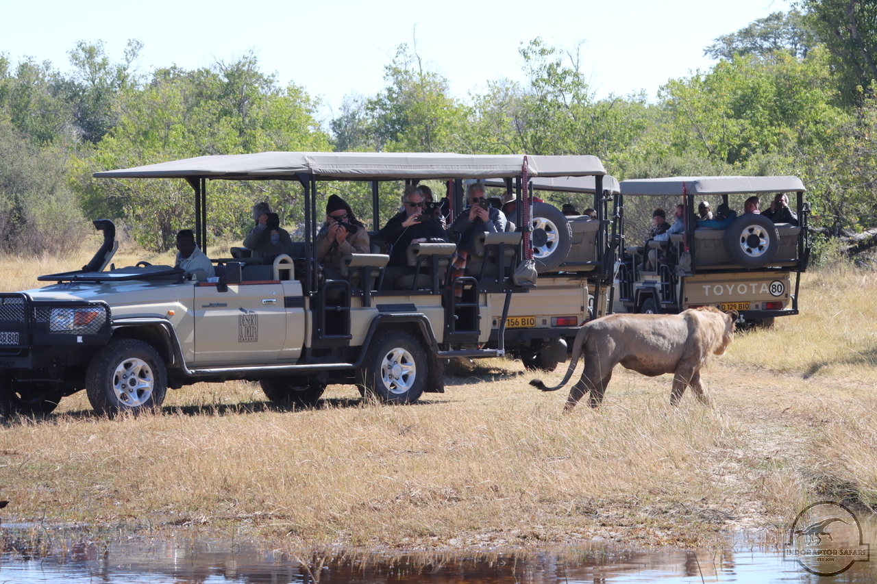 [781] 2019_06_24_10_12_54_Africa_Canon_EOS_77D_IMG__00023.jpg