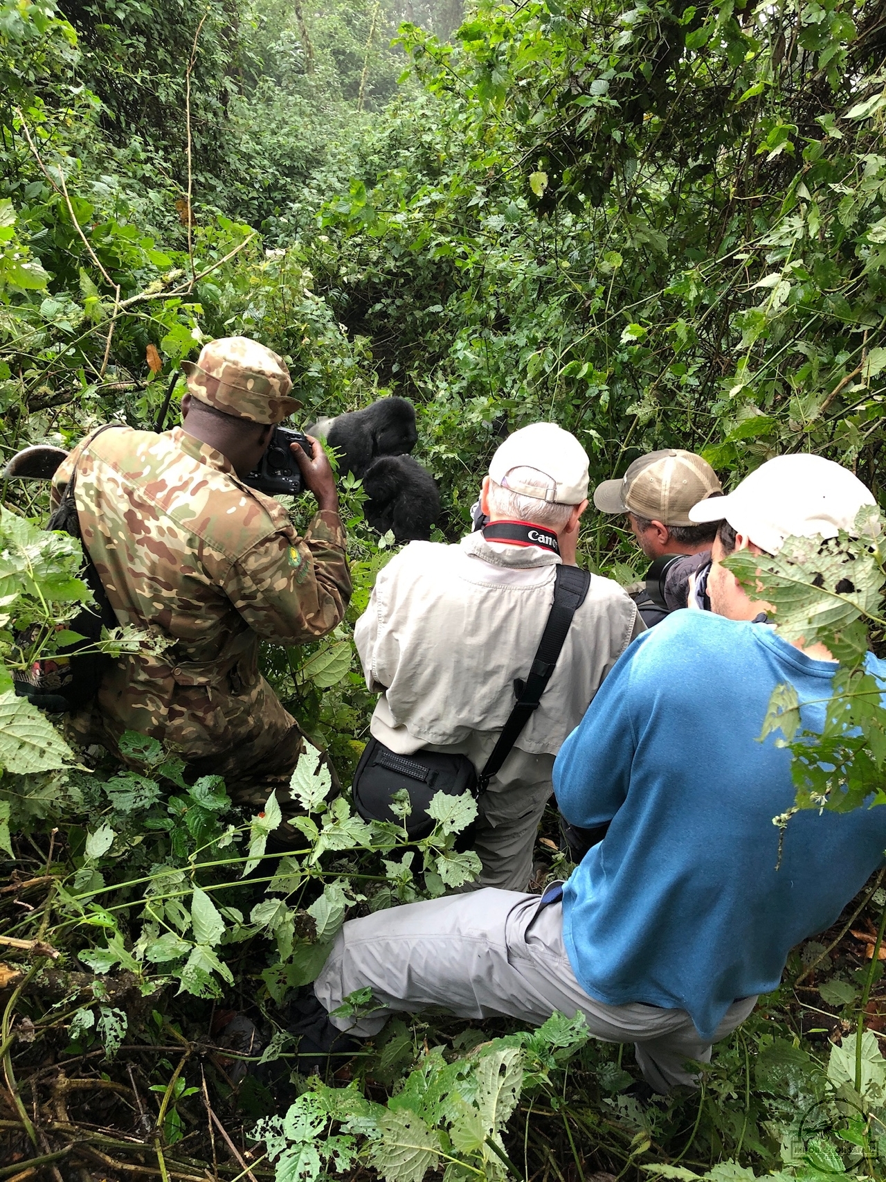 [804] 2019_06_26_10_16_01_Africa_iPhone_X_IMG__00281.jpg