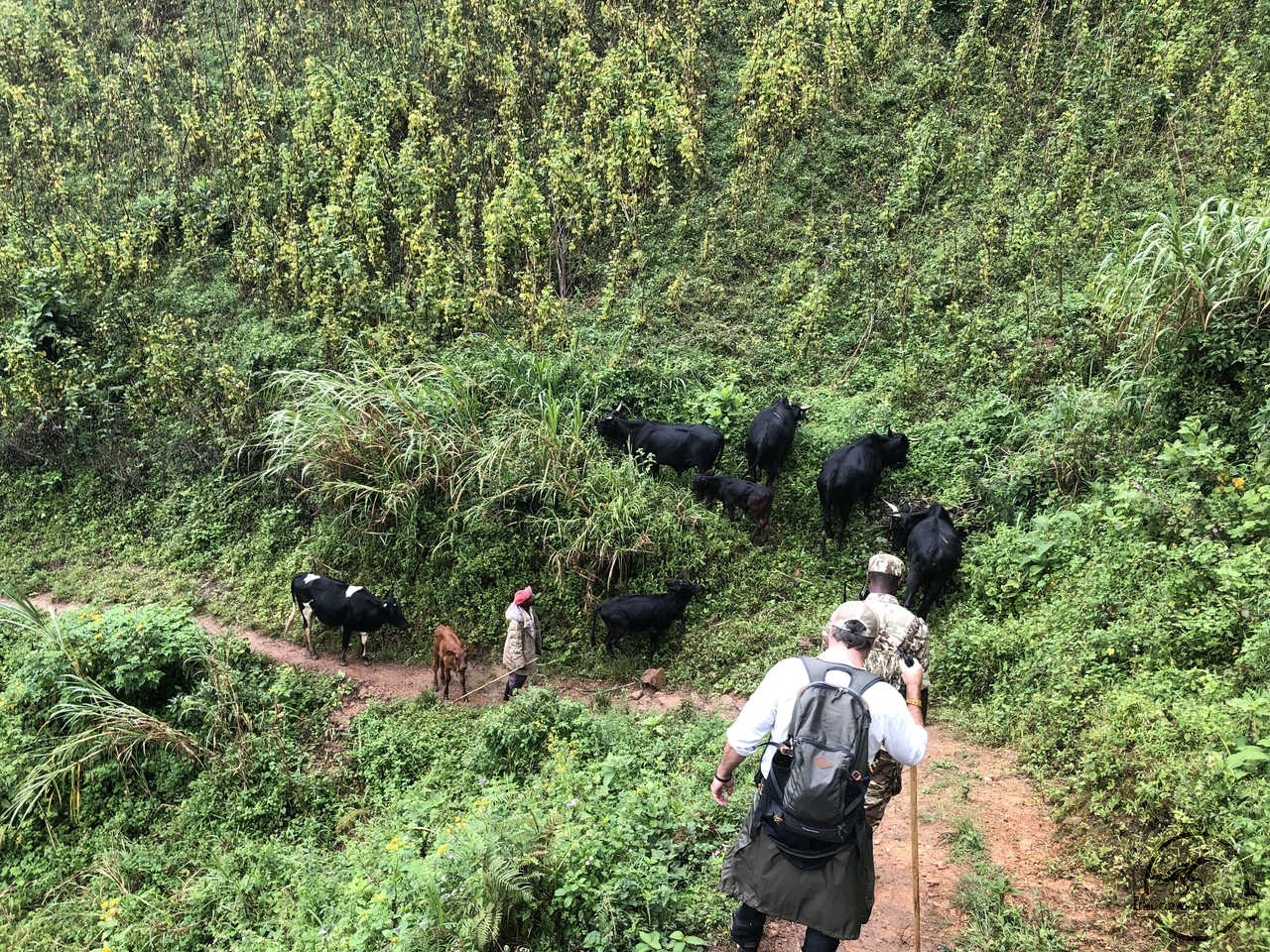 [847] 2019_06_27_09_24_05_Africa_iPhone_X_IMG_9490_00079.jpg