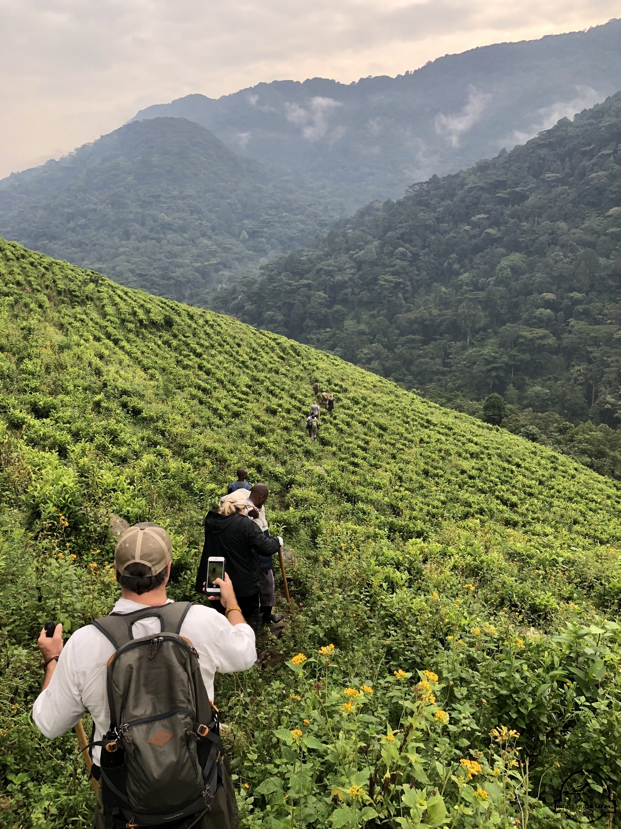 [849] 2019_06_27_09_57_18_Africa_iPhone_X_IMG_9496_00080.jpg