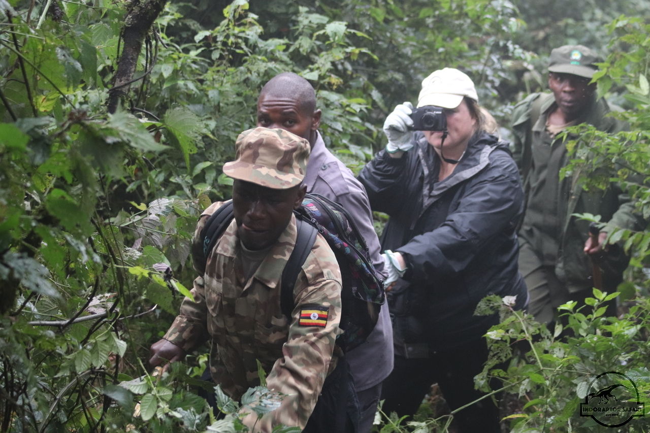 [854] 2019_06_27_15_53_30_Africa_Canon_EOS_77D_IMG__00329.jpg