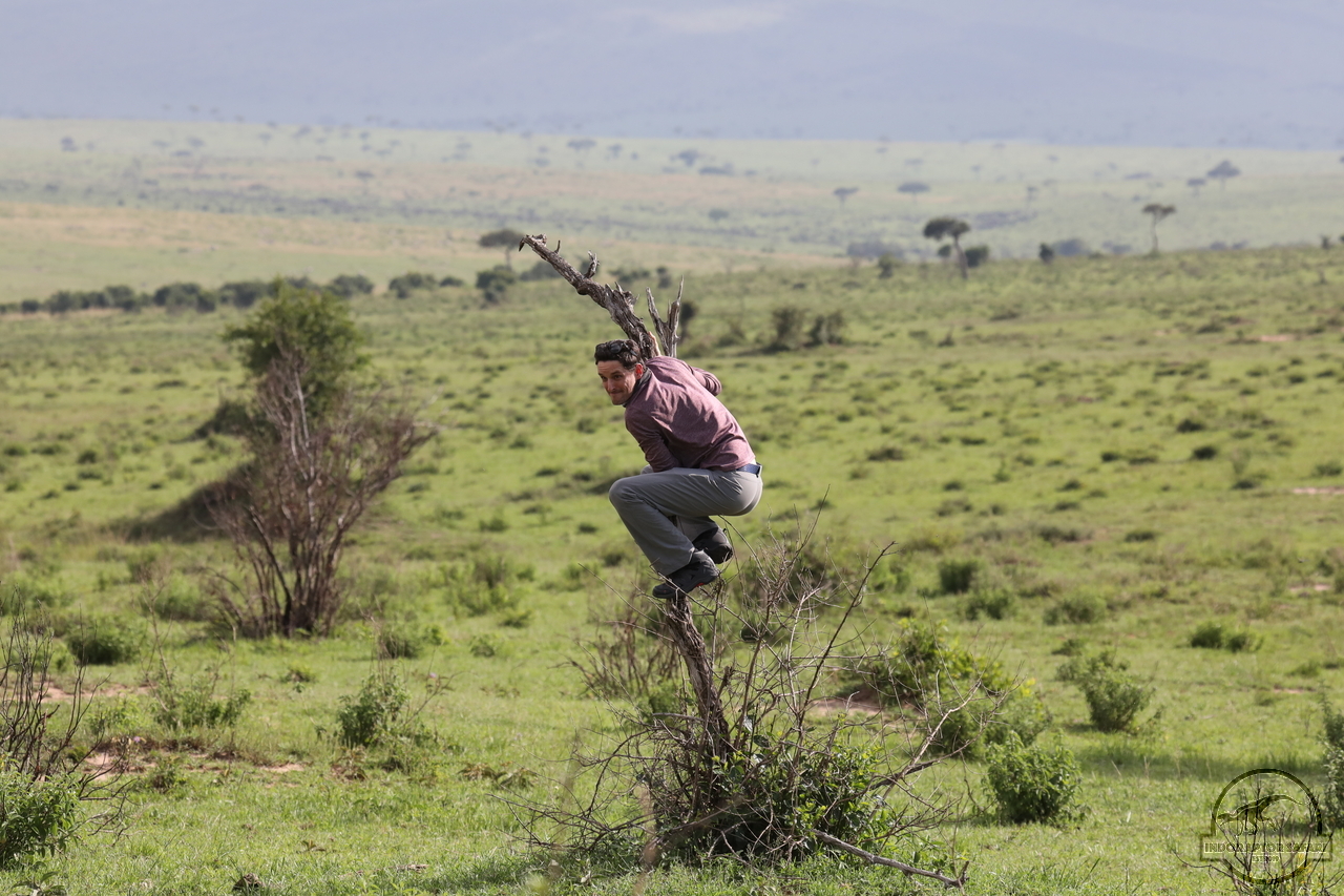 [955] 2019_07_01_20_08_36_Africa_Canon_EOS_5D_Mark_IV_IMG_0011684_00100.jpg