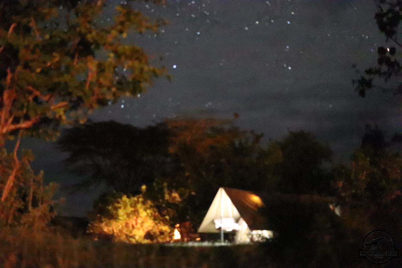 [962] 2019_07_01_22_12_08_Africa_Canon_EOS_77D_IMG_2969_00453.jpg